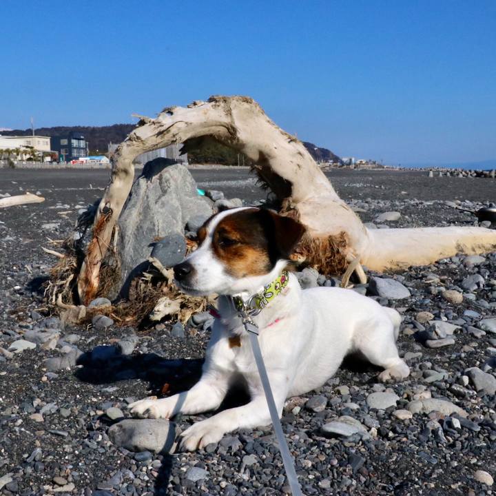 C374970f a367 4f35 a684 783b3ad6bfb1 1547448440956