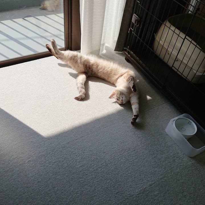 C374d461 959e 4ee0 bc5d 3d93a9a88322 1523165285942