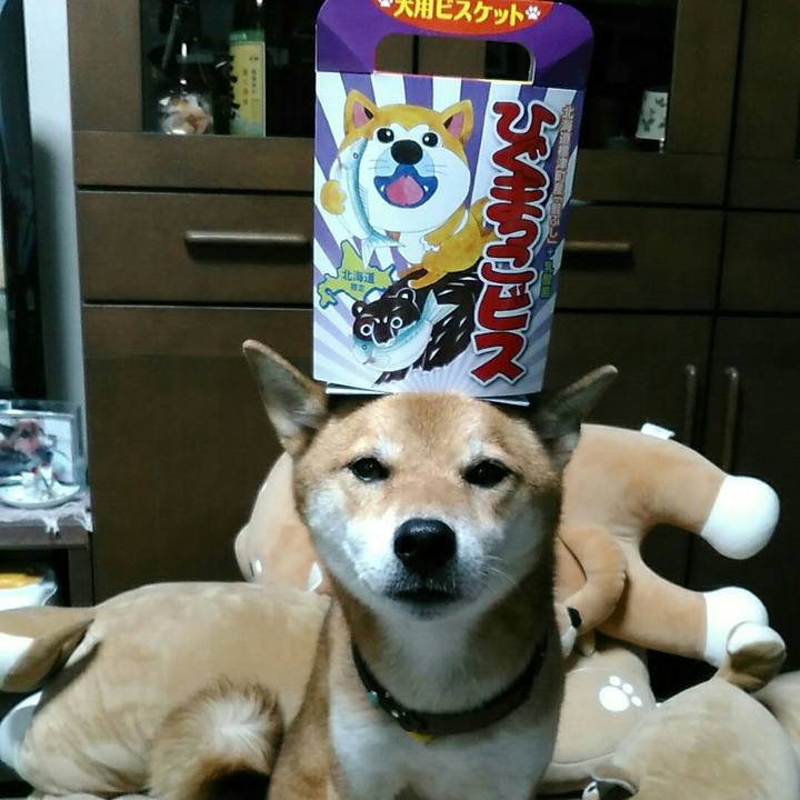 C3751129 128f 421e 8b4b 8ee77fbd82e0 1539407283453