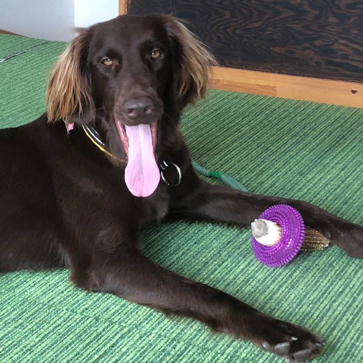 C37545b9 55d4 44b2 b5da 2f519c8dccc1 1594959357478