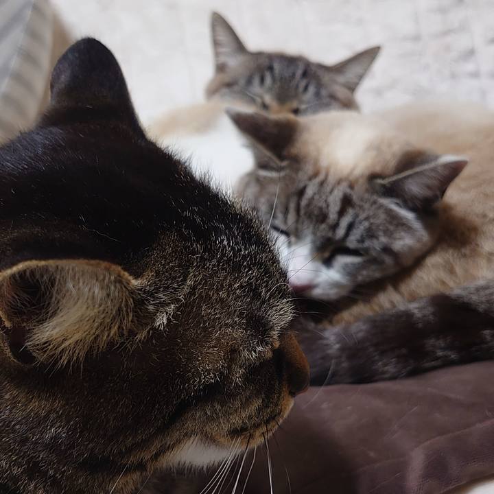 C3755082 a8f5 4791 ab33 969ea4c0e9cf 1677850552724