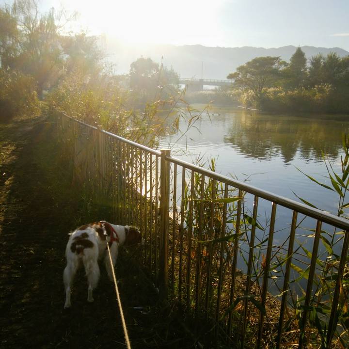 C37554d2 decc 41ed aa84 c2704a969dd0 1541034533402