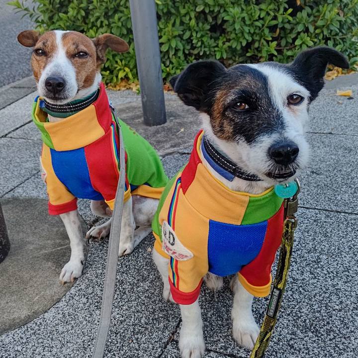 C37557e6 0673 44cd 8a6a 4bae44959ab8 1702164111889