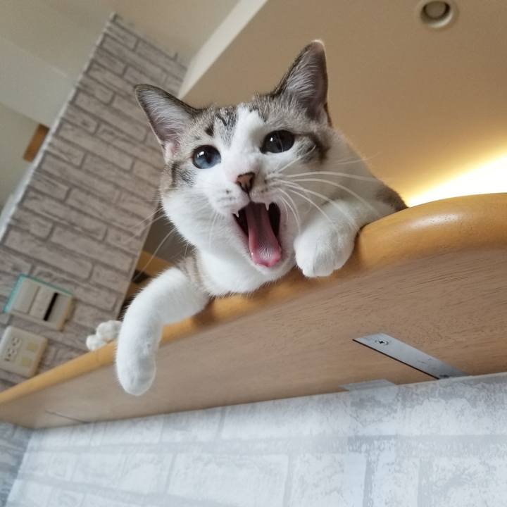 C3756b16 ccf8 41cd 8110 35885de532a0 1600783581154