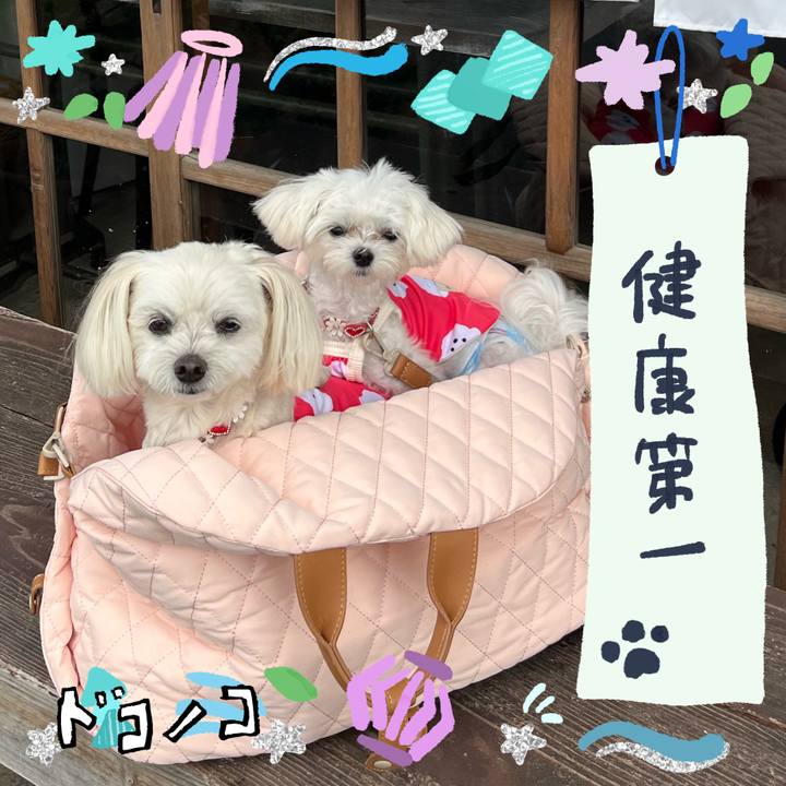 C3757705 50b8 403d a5d2 76fb26bad5ec 1720753267262