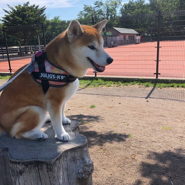 C37579f1 83ae 49d6 a25e 286432ce6392 1563328499868