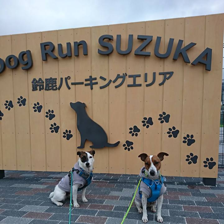 C375a8ce 136b 42b0 b944 847bd042be8b 1556526371222