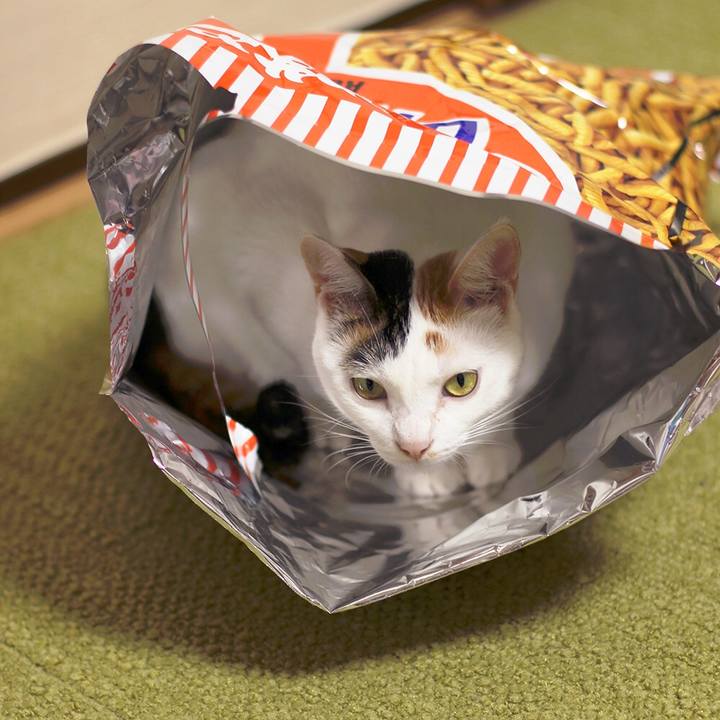 C375c35f 5db3 4841 98cf 097ff22a2c9a 1568934992630