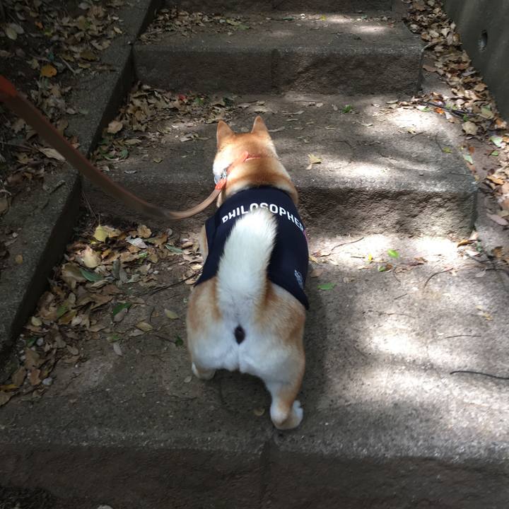 C375e5e0 ebc9 4b12 8bca 257ff4b795f6 1556519087790