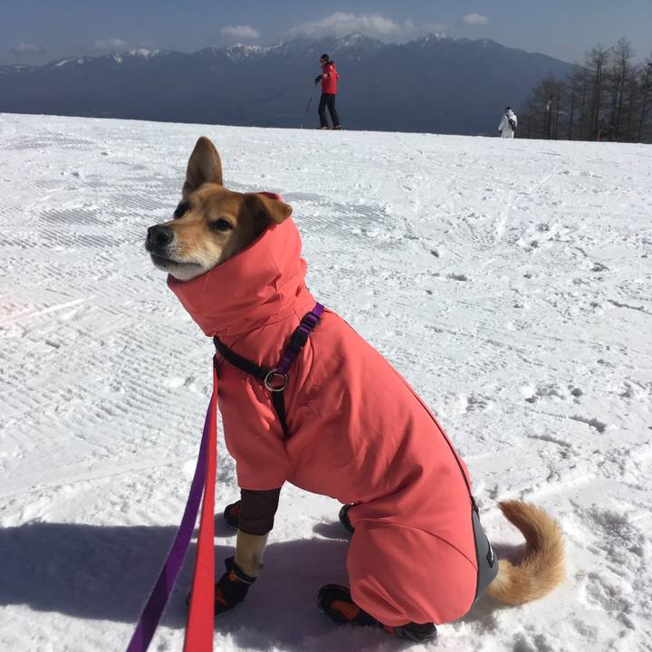 C37649d4 5001 4c6f ab83 ba5a96e40051 1550050282935