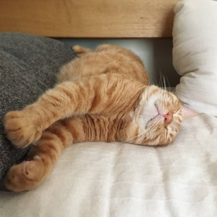 C376781a e2e3 427b 9007 7f1e38b5f3f9 1593340697607