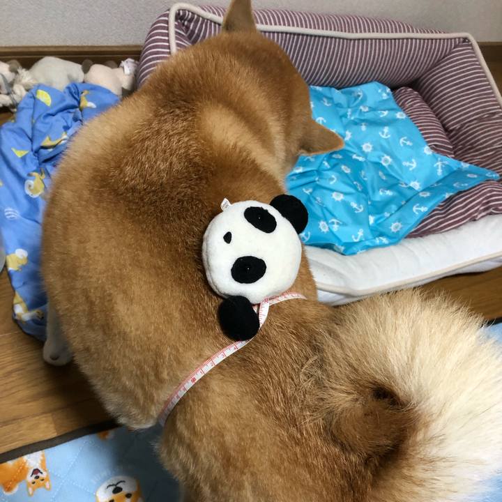 C3767c86 1c6e 43b4 8d1c 5a7b2658e9cd 1570532010173