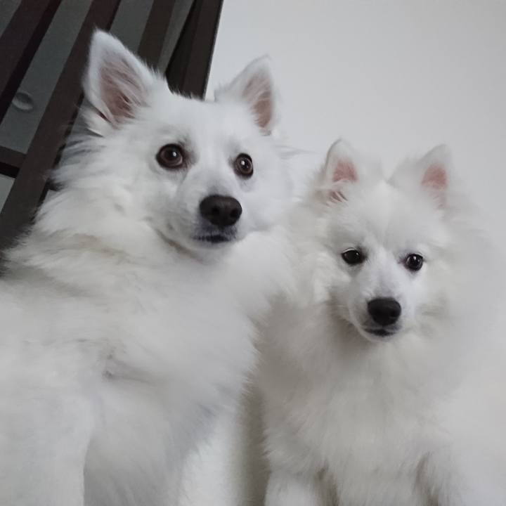 C3767daa 2339 4df1 8942 aee5b7334985 1558673690794