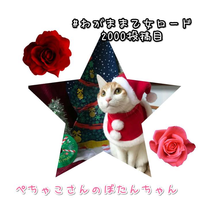 C3769e3f c2a5 4e9e 9e20 7a7ef4d39a2e 1577178532991