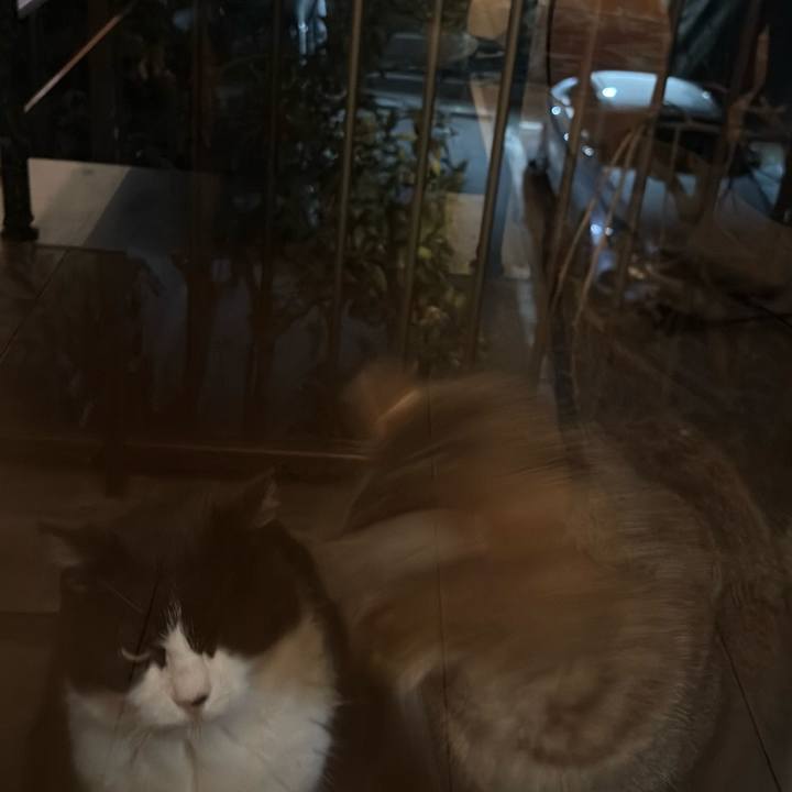 C376c386 2ad1 4e5f 8d69 cc31299e3a54 1774275620155