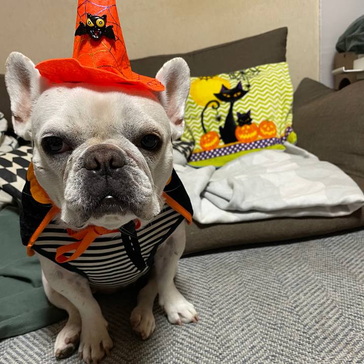 C376dd81 1660 46ca 9f4b 60b8b7893ef5 1730326399378