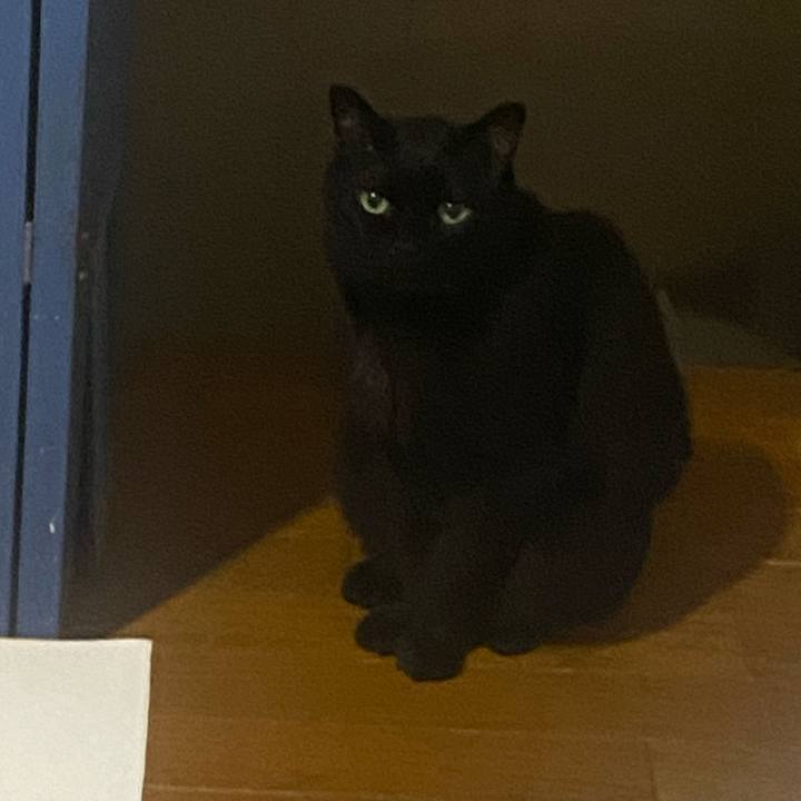 C376e338 9a3b 49ab a365 c81b7499ea14 1747776566187