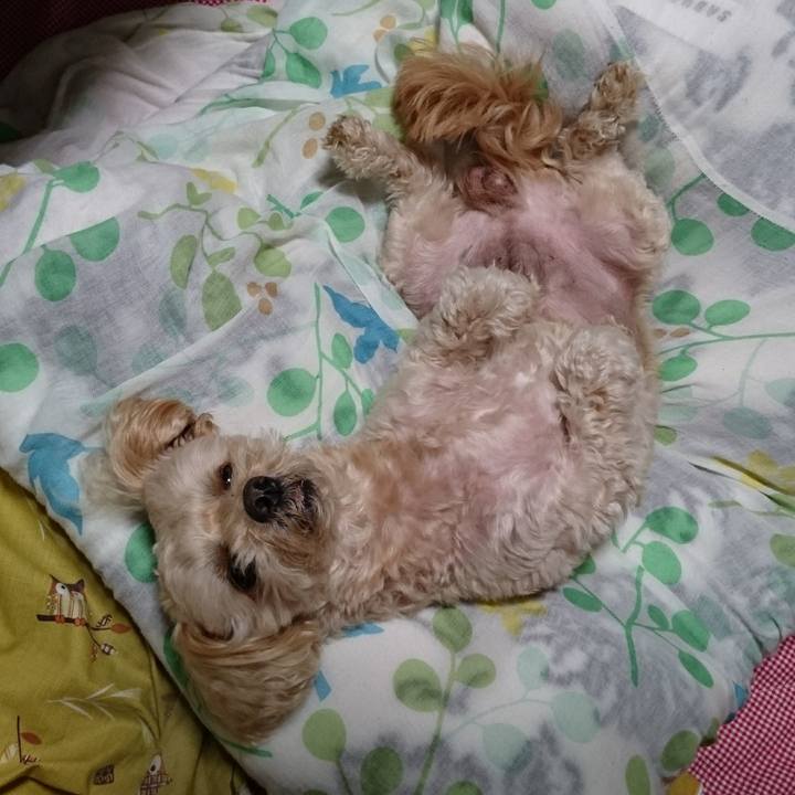 C376f9e7 0b12 4d68 8ae7 f9f7573c0159 1603027572361