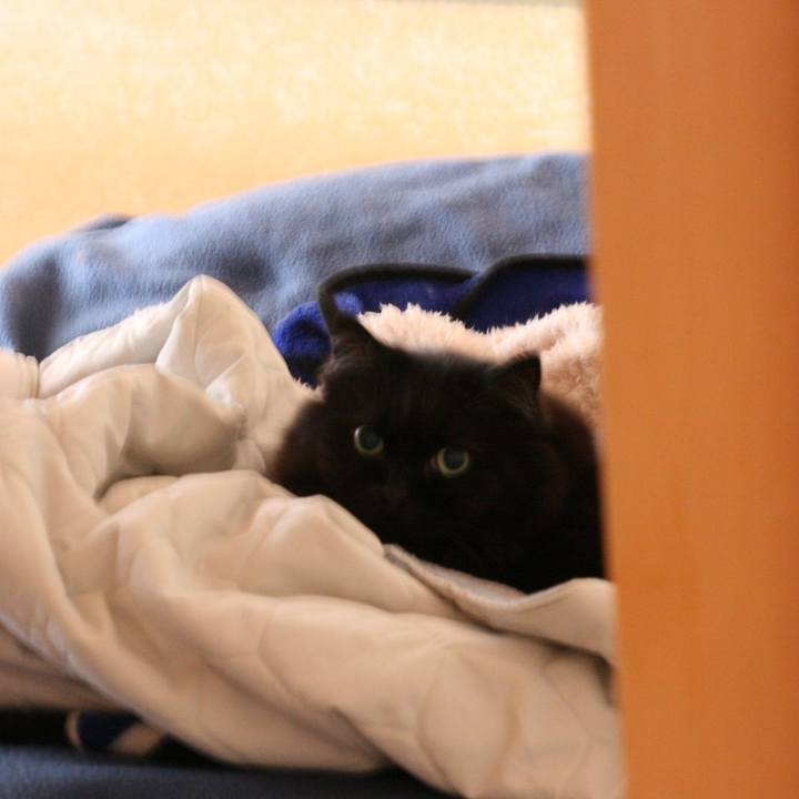 C3770909 1f7e 4540 87ec eaabab9b0c0b 1517652742229