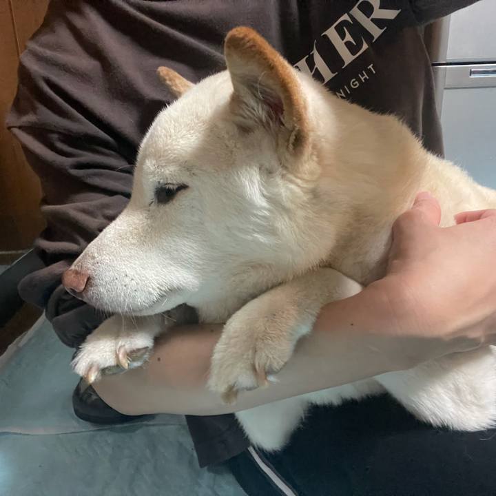 C37709ac 8a6c 4458 84ef b14892199ee6 1638017359538