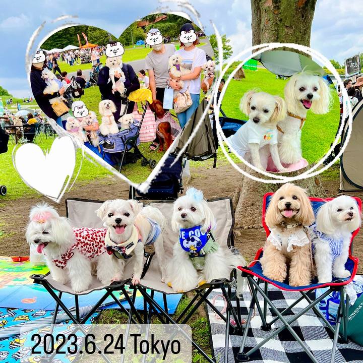 C37716fd b8f3 42e7 8e00 f4af66e86fea 1687697832793