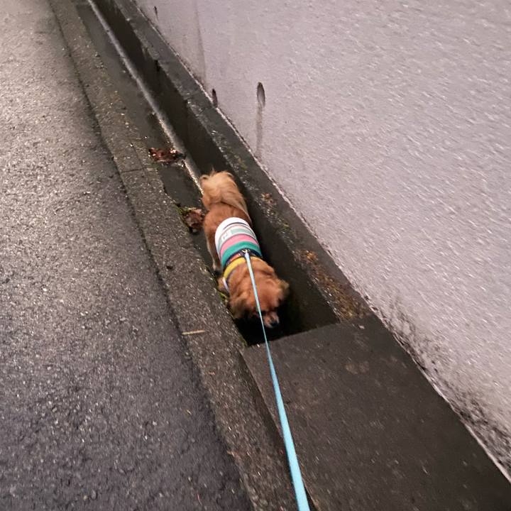 C37765dc 76a4 4548 a5e7 46d0c47b8d66 1611698925599