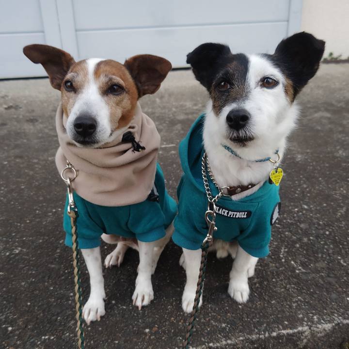 C3778605 f9d4 4d3c b56f eb11f3fbc978 1771885718455