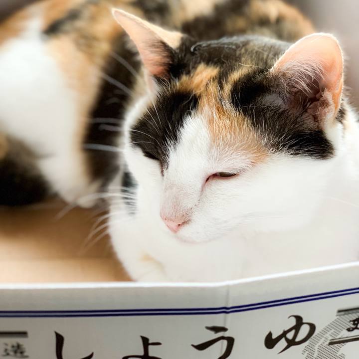 C377a84a 8033 4dc8 9029 19b607eacd9f 1564281121165