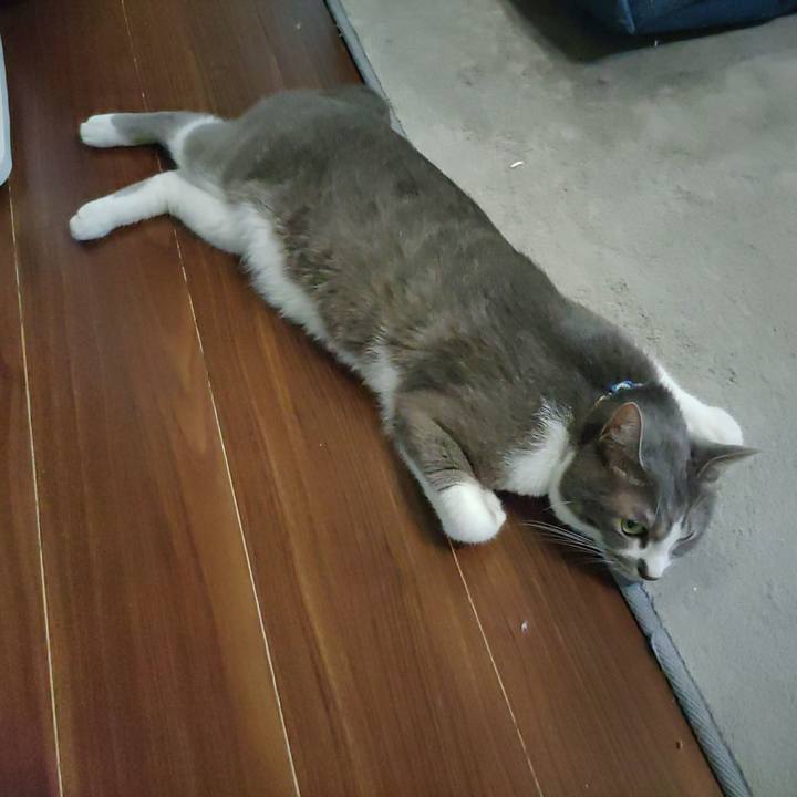 C377b15d 3892 473b ab7b 09d89d847297 1691458136477