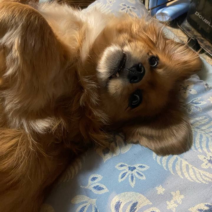 C377c5ad 26bb 48c7 9d21 04bdabf25a71 1610573165670