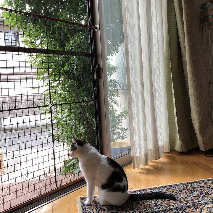 C3780342 52b1 4841 9afe fd5d6cd9aa10 1632813521552