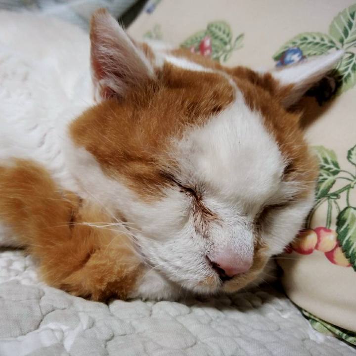 C3781a5c f29e 434d a962 3d5c46098309 1562843316924