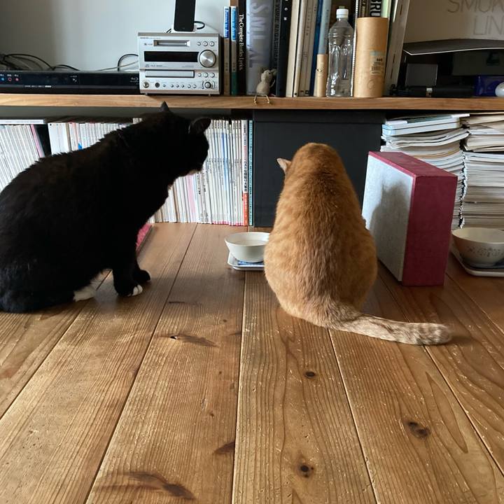 C3782c65 52c7 4069 be71 9e52a1a6718a 1630620283497