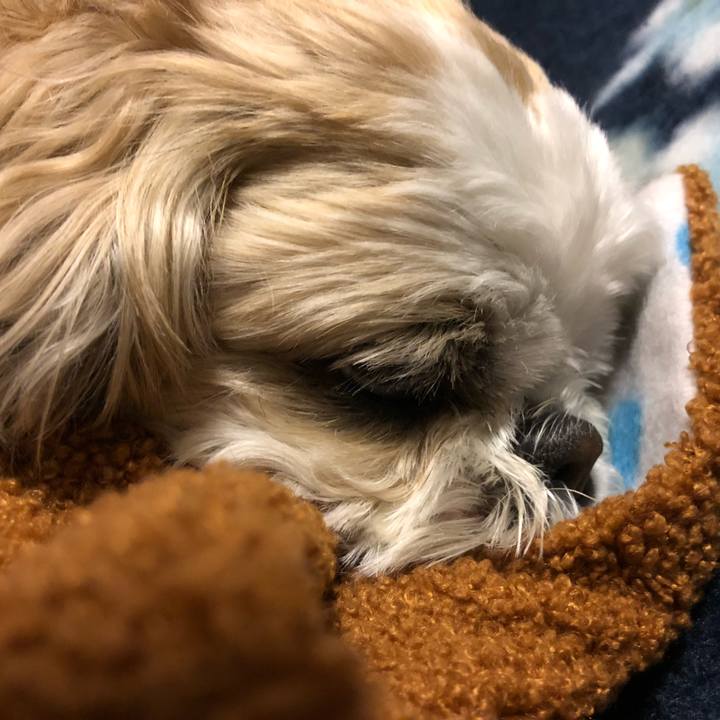 C37831f0 e018 4b71 91d1 fccb11975305 1584999997739