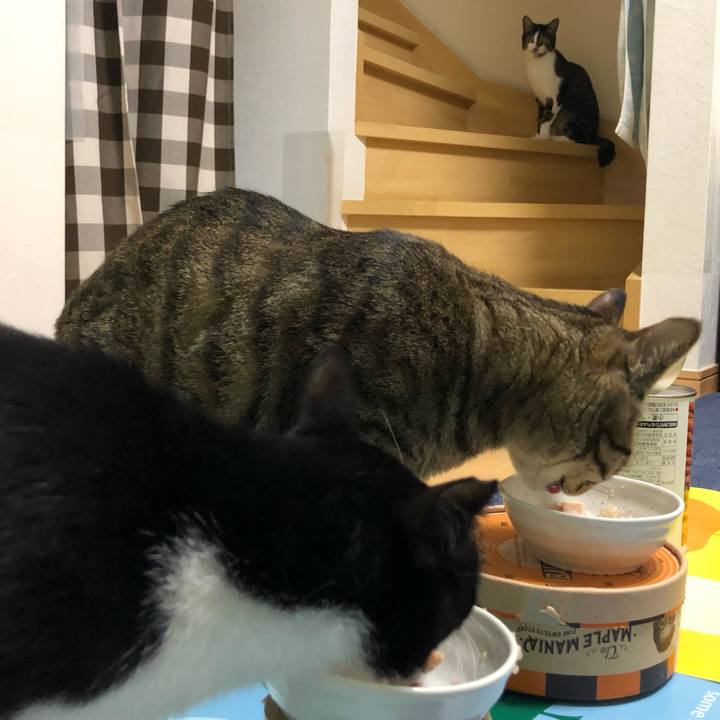 C3786c74 f3d0 488c bab1 31cce6b1b836 1590638527669