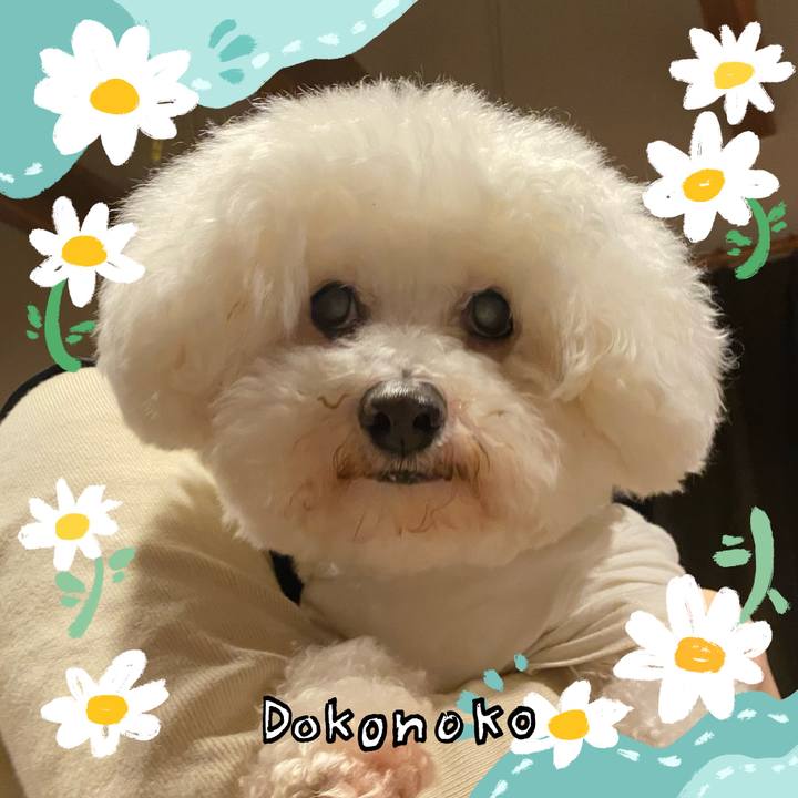 C3787687 3823 4af9 8e1e 3be49cc621f7 1712200210987