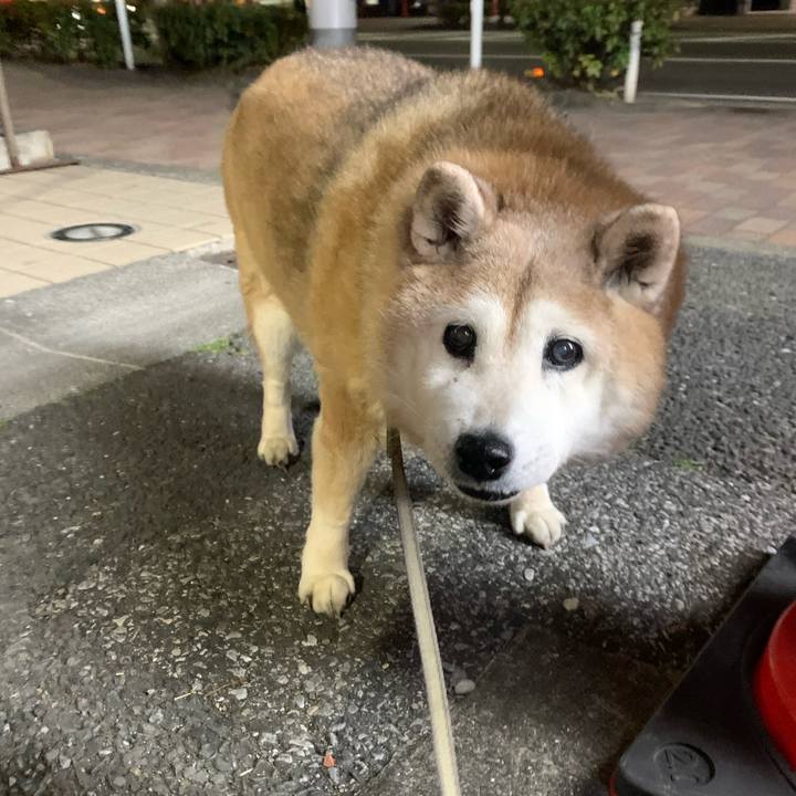 C378fc3c 75ca 41cf a3f8 40c64e70328d 1643724965247