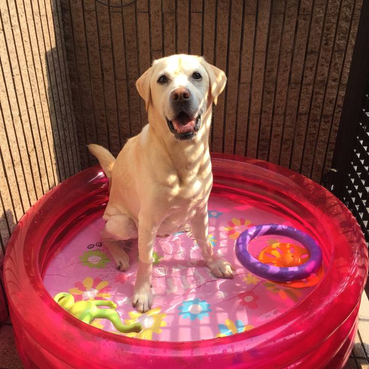 C3791510 9eb5 4004 8af2 e6edd98cb1e1 1533362949512