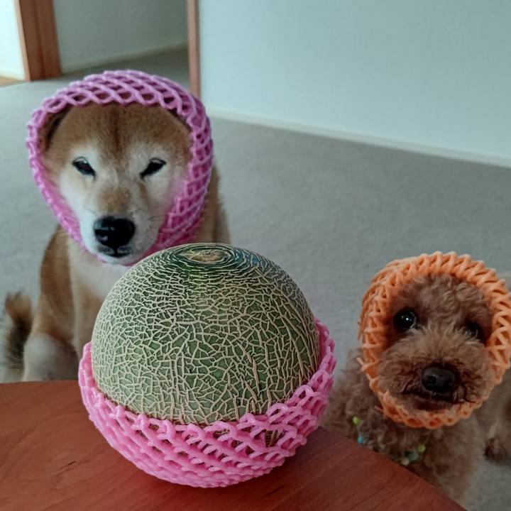 C3793aeb 2f88 4171 ab47 99b5267d56e8 1624513935152