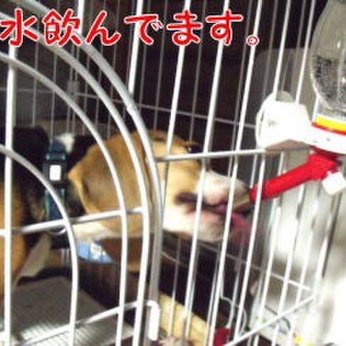 C3794107 fb1f 4969 a876 faab2560755b 1689028754534