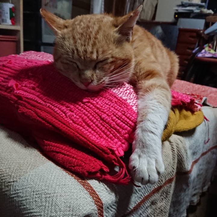 C3794612 02b0 4aa6 8860 12e44c5dd9de 1555360038437