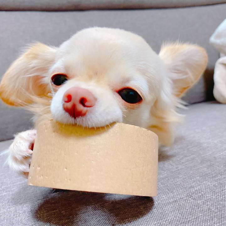 C3795039 c063 45c7 85d3 b58bb4f68c30 1637416729473