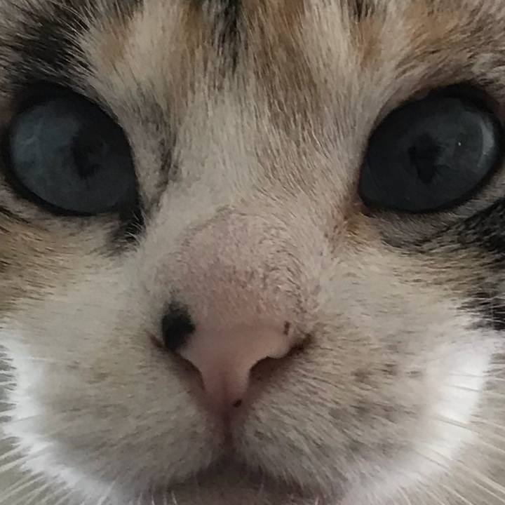 C3796fcb 4562 4bb2 8392 d9c7b5262e30 1526211513072