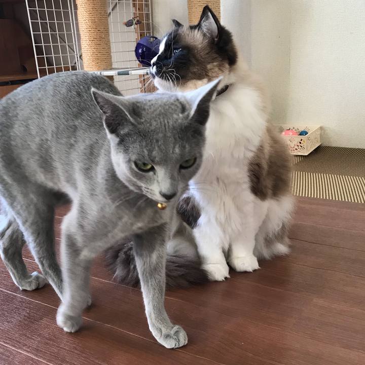 C3796fe4 9aad 4b76 975d 824383abafe2 1518965702441