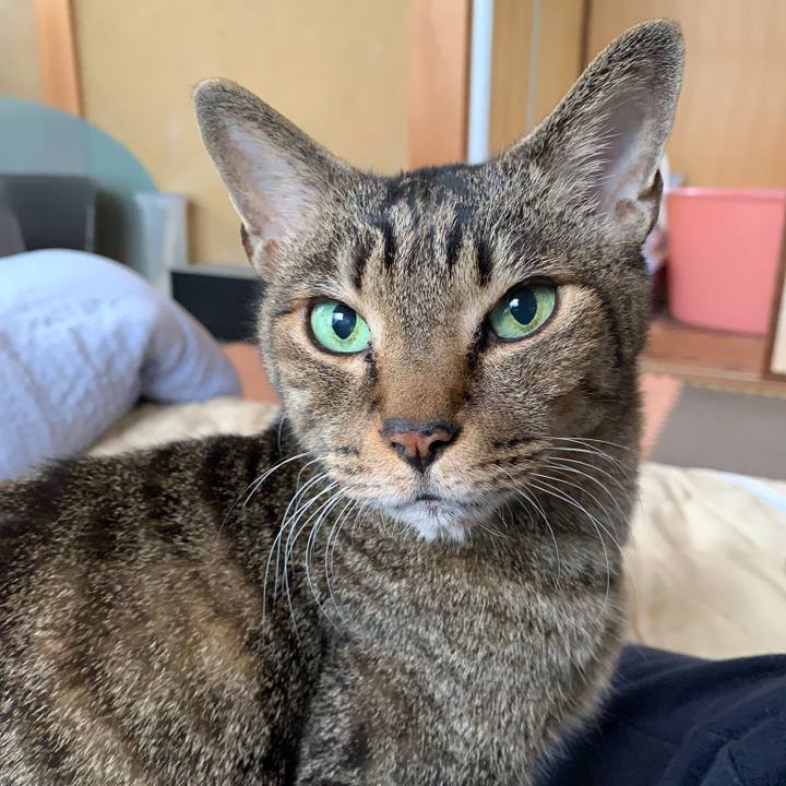 C379c64d ce30 438d 9c35 3fd9ffe2d530 1575853050568