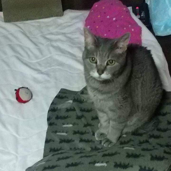 C37a28b2 284c 4577 a2db 76db923c272b 1685392895114