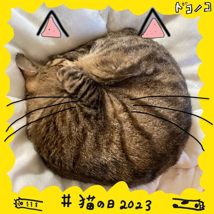 C37a664b ec8f 4cb0 8481 4357f78180bd 1676998086968