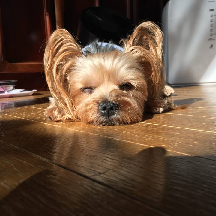 C37a67b0 9c51 4235 98fd bd08ca4d3648 1738145011829