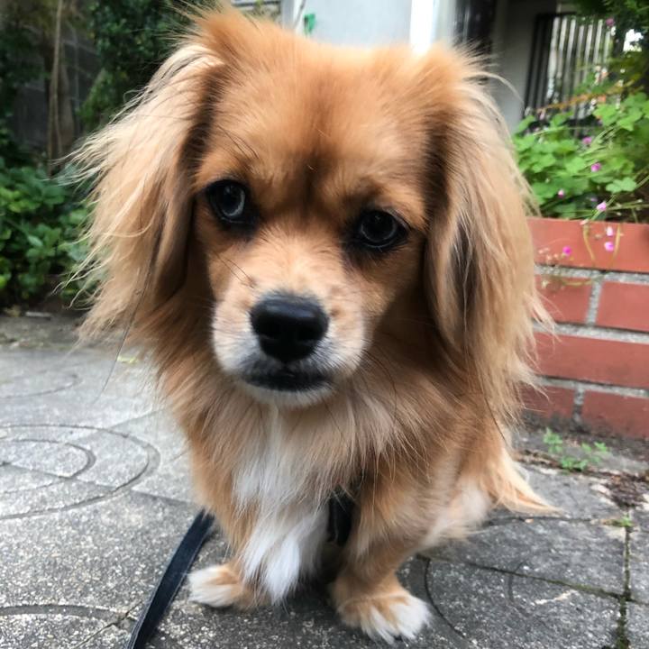 C37a9876 5857 4a7d b6a0 c8894dede2dc 1541109870827