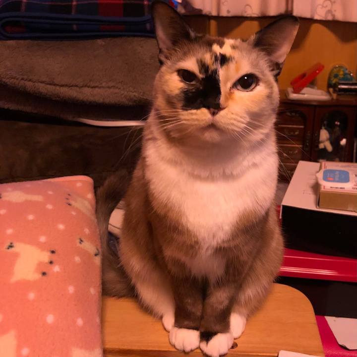 C37aad0e e214 49b4 b8fb d96a1e679ae0 1774808305391